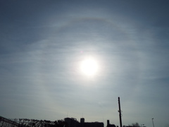 千住桜木ワンドの土手上の光輪