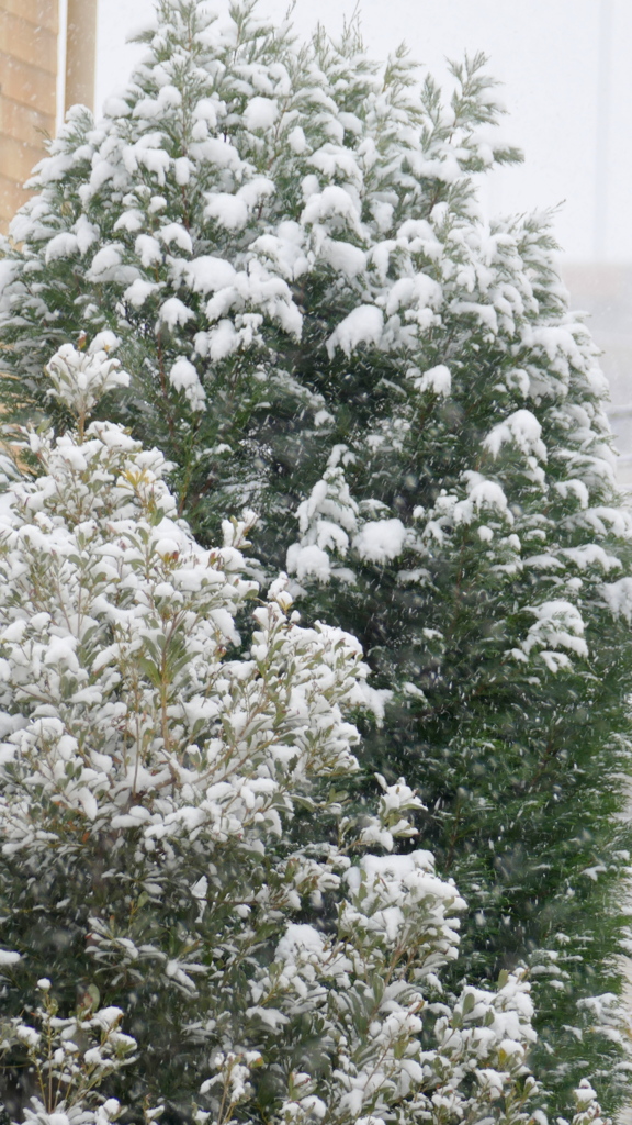 今朝の東京の天気