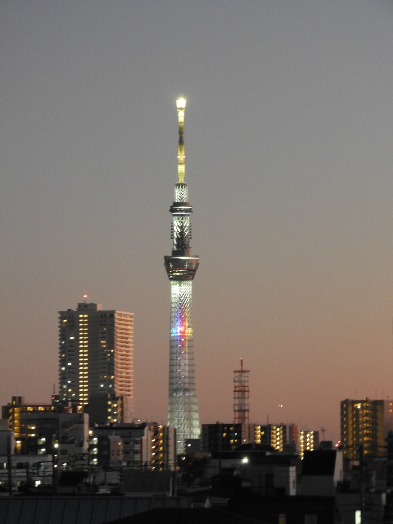 ’23新年の荒川土手から黄色い東京スカイツリー