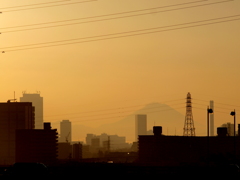 夕日を浴びて黄金色の富士山と