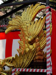 名古屋城名物、金の鯱（本物）が