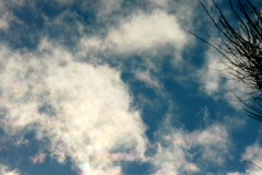 千住桜木ワンド上空の微彩雲