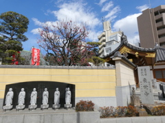 東覚寺の六観音とカンヒザクラ