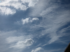 巻積雲の空