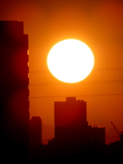 低いビルの上の夕日