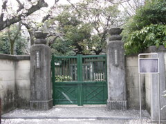 霊巌寺の松平定信公の墓と桜
