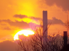 荒川河原の茂みの巨大煙突の黄色光線の夕日