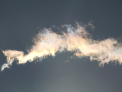 隅田川上の彩雲