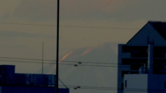 雪渓の日光男体山