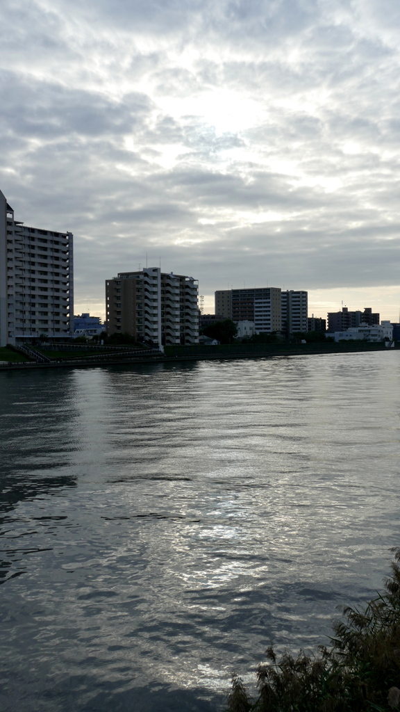 今日隅田川
