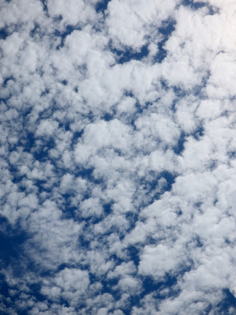 典型的な高積雲