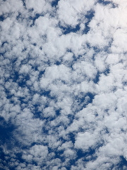 典型的な高積雲