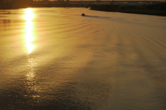 夕日の金色の荒川を上る船の波の変化１