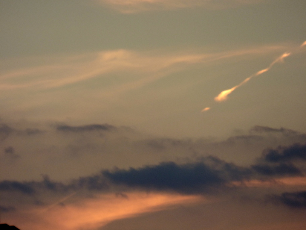 遠くの金色に光る飛行機雲