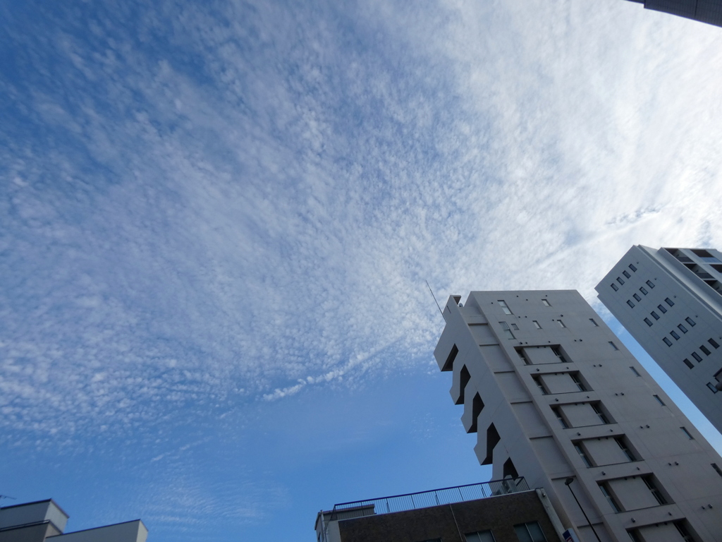 卷積雲中の飛行機跡雲
