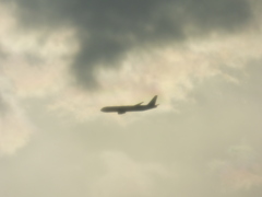 積雲の下の飛行機