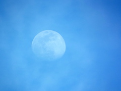 隅田川上空の齢11.8の薄雲被るの月