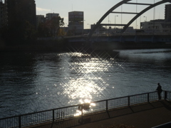 尾竹橋のキラキラ風景