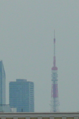 荒川土手高速下のから見える東京タワー