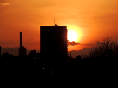 荒川西新井橋から池袋方面のタワーマンションの夕日