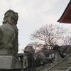 清水寺仁王門の狛犬　でも神社の方が多いかな