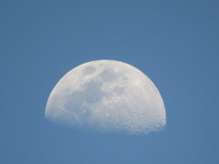 青い空の月齢8.4の月