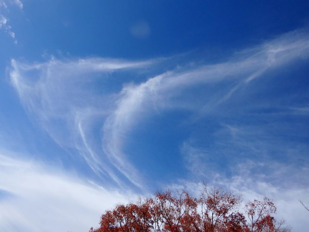 風が強いので、雲も曲がって