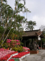 琉球村の花壇と大きいシーサーがお出向かい