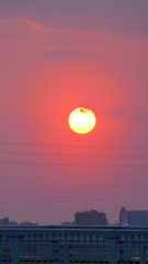 春独特のホヤを纏う夕日