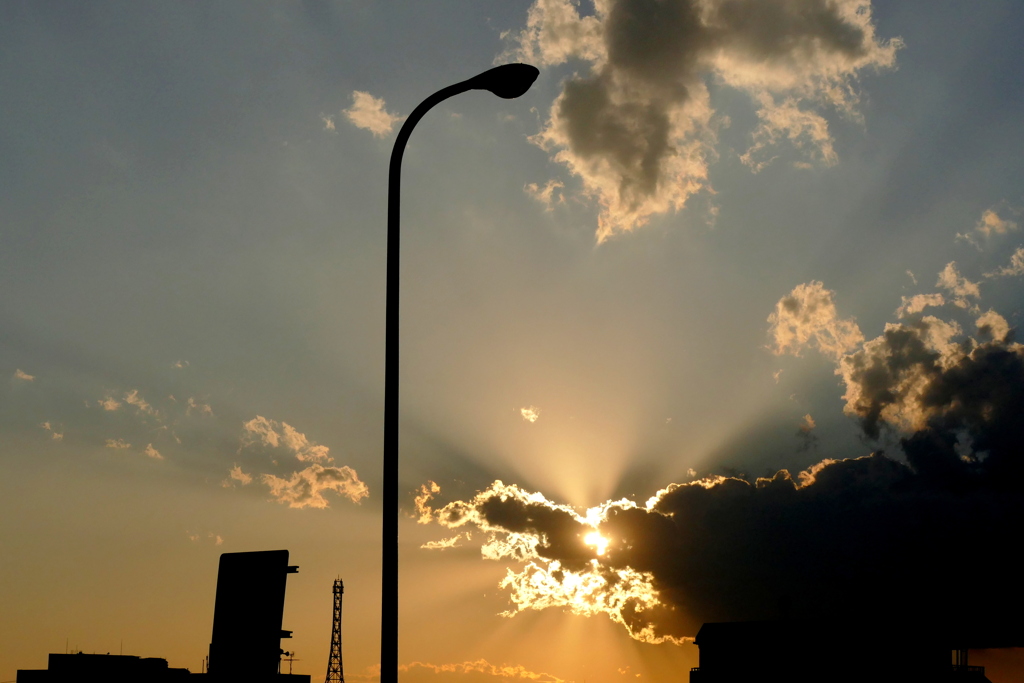 荒川土手の夕日のスプレンダー