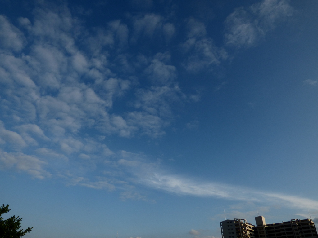 高積雲を食べてる