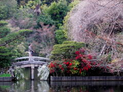 龍安寺の回遊式庭園