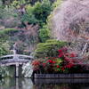 龍安寺の回遊式庭園