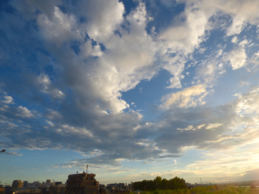 千住新橋から氷川神社上空の夕雲