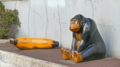 足立区の環七沿いの路地にある