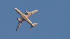 荒川土手から上空の夕焼機