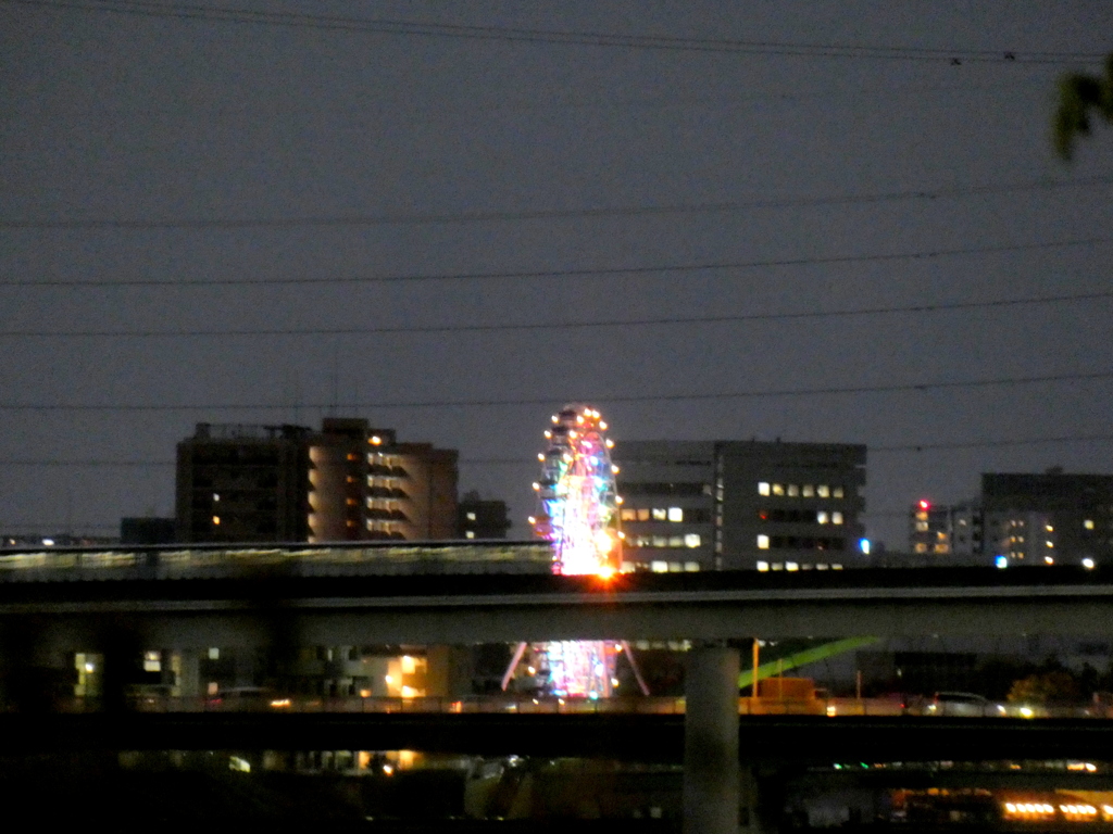 隅田川の土手から見える荒川遊園の観覧車と舎人ライナーの夜景