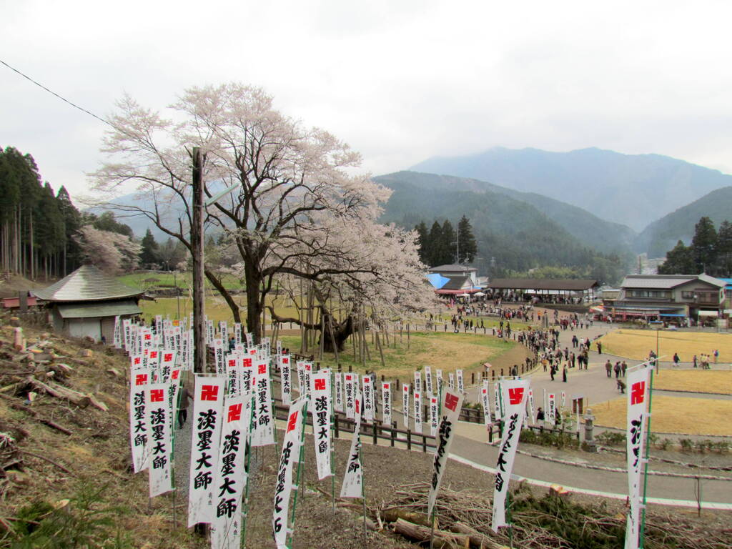 根尾谷の風景