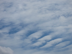 高積雲の波状雲