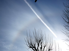 千草園のプラタナスのアークとジェット雲