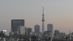 ’２３新春の荒川土手からの夜景２