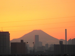 荒川土手から電線したの富士山