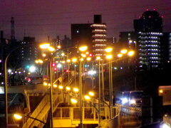 荒川土手から街灯の集まった夜景