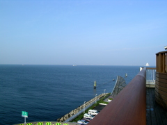 海ボタルからの東京湾の景色
