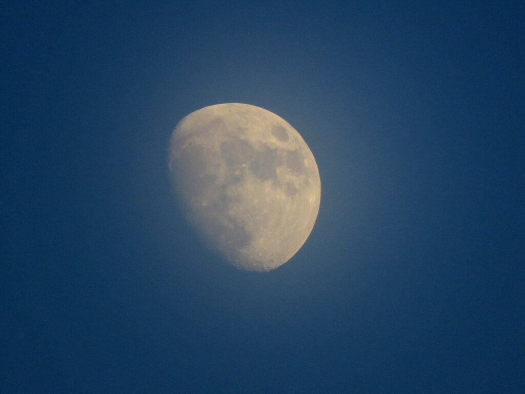 薄雲の中月齢11.0