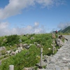 立山室堂平３