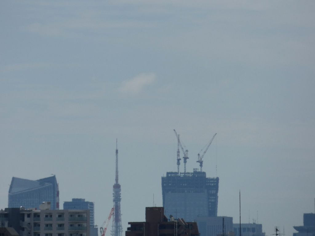 荒川土手から見えた霞んだ東京タワー