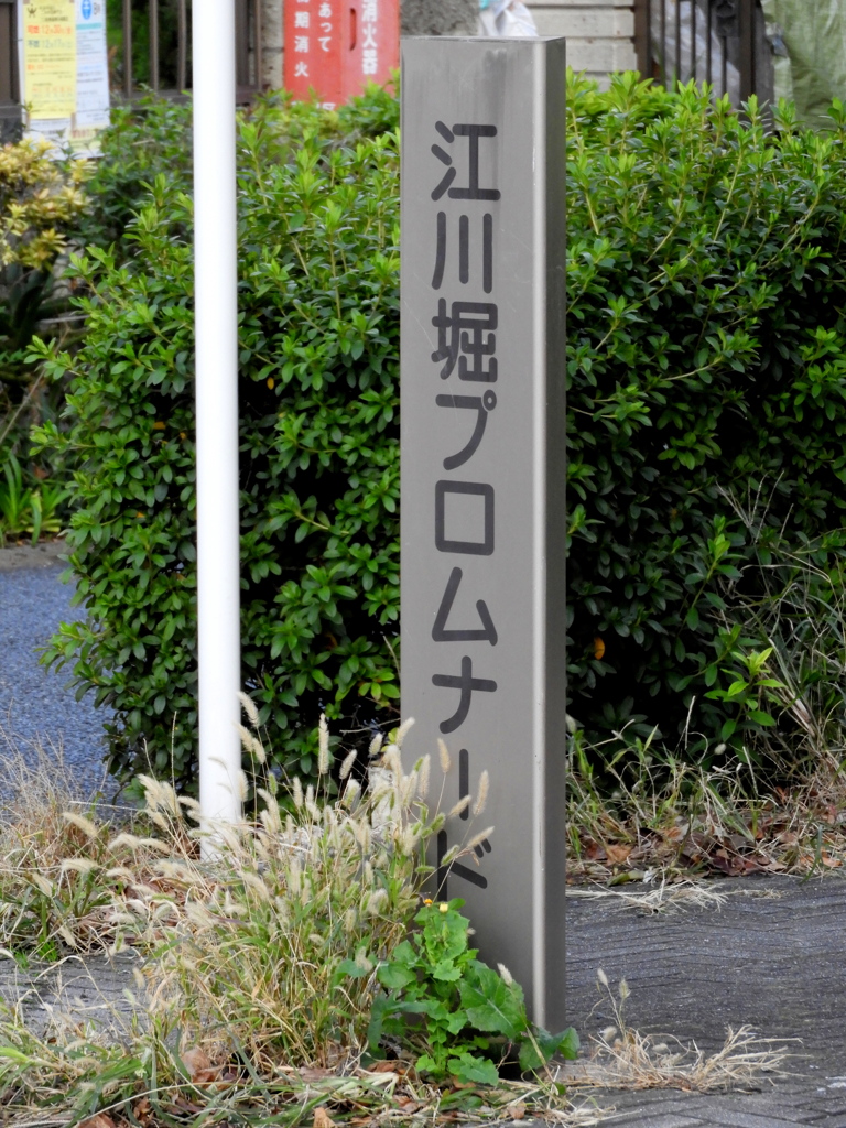 曲がった路地と尾竹橋通の間のカーブした路地にこの名入り柱が見つかった