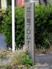曲がった路地と尾竹橋通の間のカーブした路地にこの名入り柱が見つかった