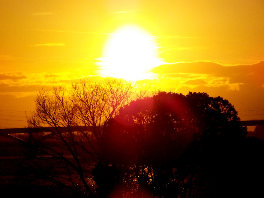 河原の榎の上の夕日